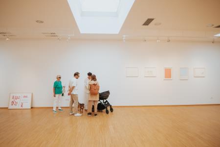 Razstava Mladena Stropnika Družmirje (4)